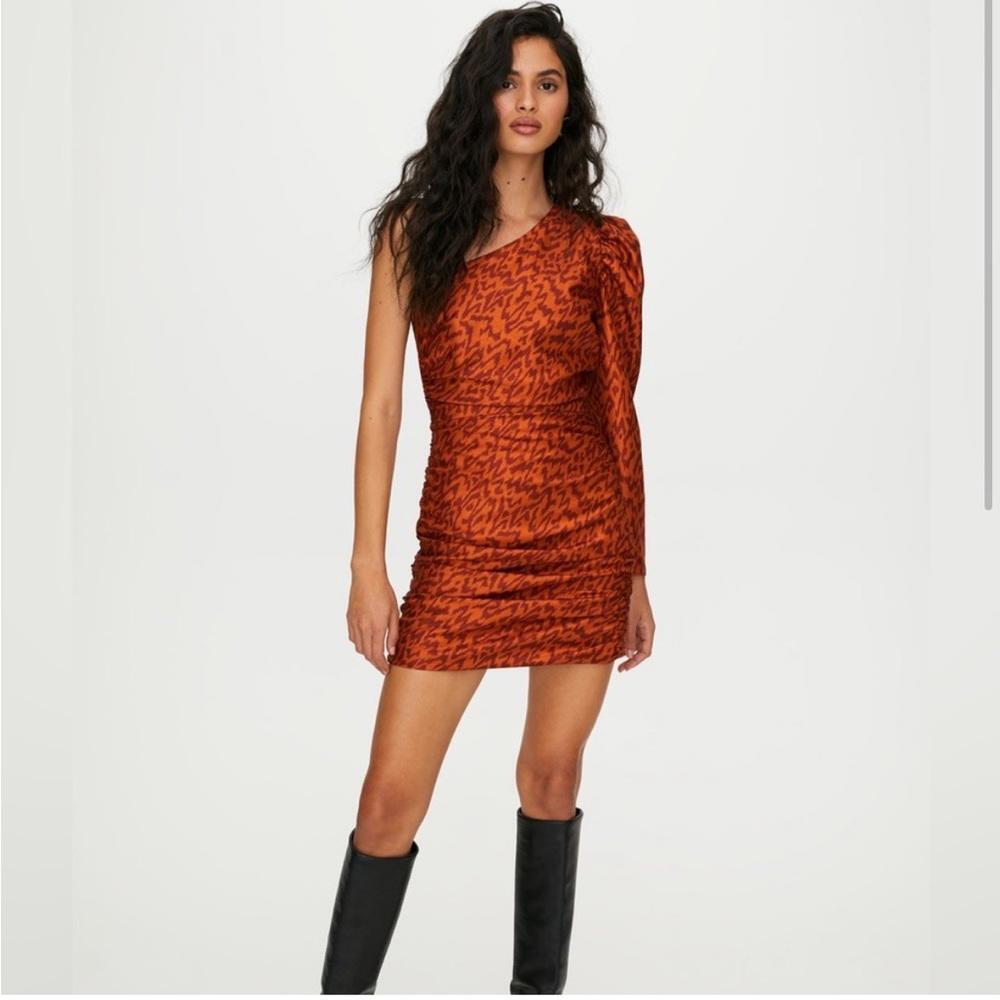 Aritzia Wilfred Rhapsody One Shoulder Leopard Mini Dress - 2